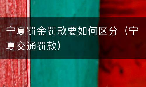 宁夏罚金罚款要如何区分（宁夏交通罚款）