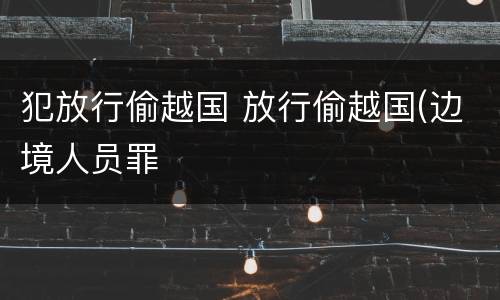 犯放行偷越国 放行偷越国(边境人员罪