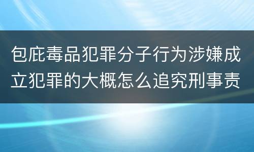 包庇毒品犯罪分子行为涉嫌成立犯罪的大概怎么追究刑事责任