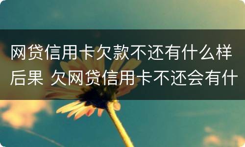 网贷信用卡欠款不还有什么样后果 欠网贷信用卡不还会有什么后果