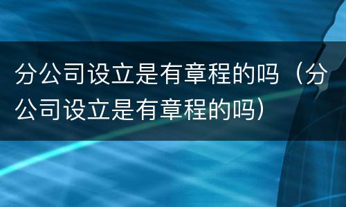 分公司设立是有章程的吗（分公司设立是有章程的吗）