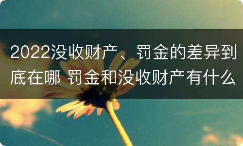 2022没收财产、罚金的差异到底在哪 罚金和没收财产有什么区别