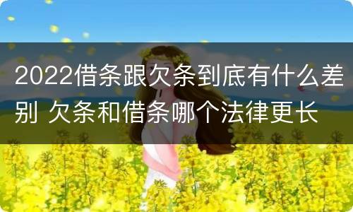 2022借条跟欠条到底有什么差别 欠条和借条哪个法律更长