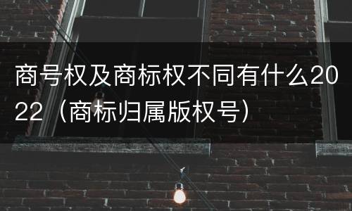 商号权及商标权不同有什么2022（商标归属版权号）
