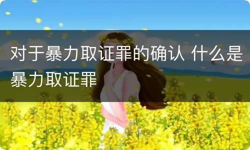 对于暴力取证罪的确认 什么是暴力取证罪