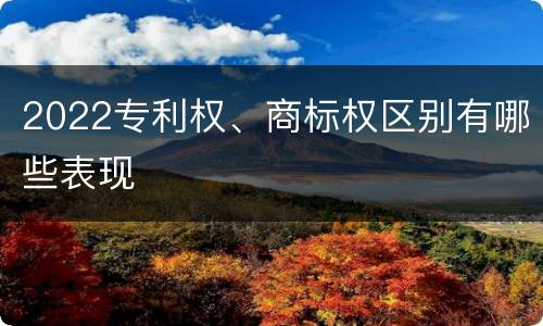 2022专利权、商标权区别有哪些表现