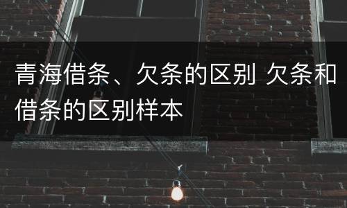 青海借条、欠条的区别 欠条和借条的区别样本