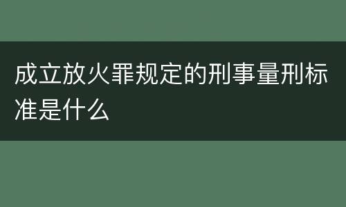 成立放火罪规定的刑事量刑标准是什么