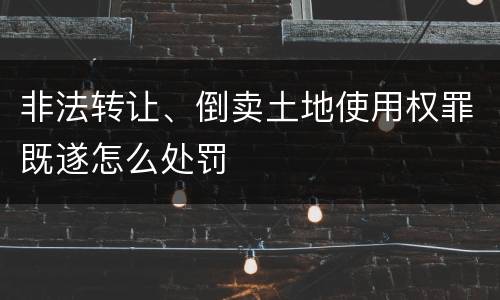 非法转让、倒卖土地使用权罪既遂怎么处罚