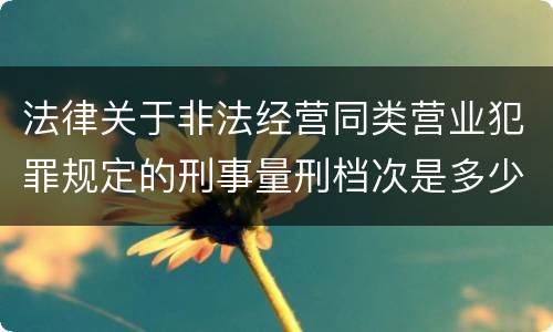法律关于非法经营同类营业犯罪规定的刑事量刑档次是多少