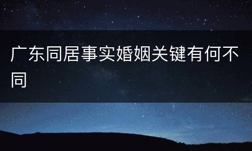 广东同居事实婚姻关键有何不同