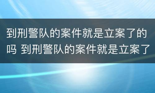 到刑警队的案件就是立案了的吗 到刑警队的案件就是立案了的吗知乎