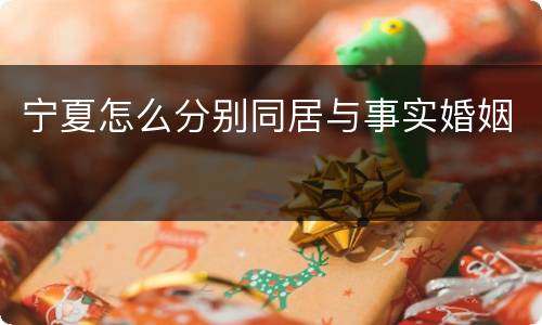 宁夏怎么分别同居与事实婚姻