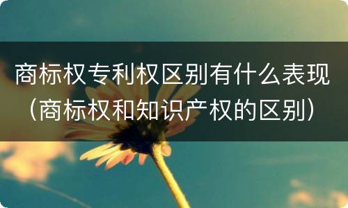 商标权专利权区别有什么表现（商标权和知识产权的区别）