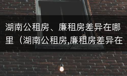 湖南公租房、廉租房差异在哪里（湖南公租房,廉租房差异在哪里查看）