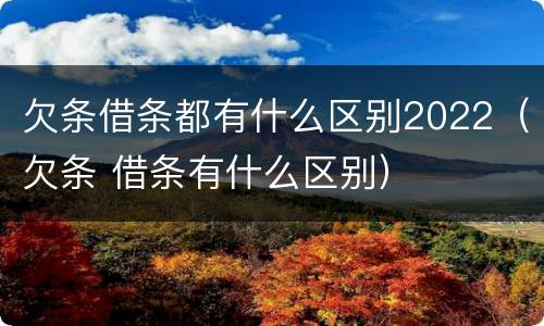 欠条借条都有什么区别2022（欠条 借条有什么区别）