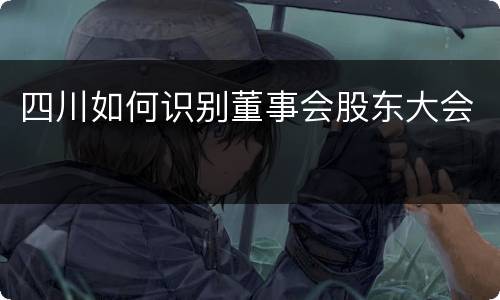 四川如何识别董事会股东大会
