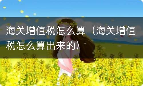 海关增值税怎么算（海关增值税怎么算出来的）