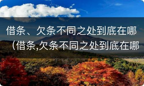 借条、欠条不同之处到底在哪（借条,欠条不同之处到底在哪写）