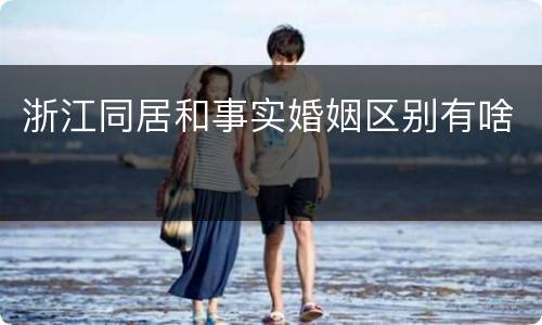 浙江同居和事实婚姻区别有啥