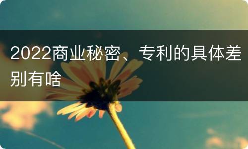 2022商业秘密、专利的具体差别有啥