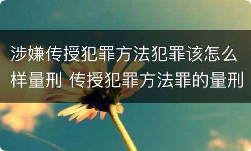 涉嫌传授犯罪方法犯罪该怎么样量刑 传授犯罪方法罪的量刑