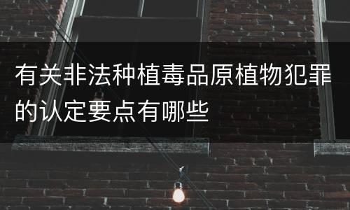 有关非法种植毒品原植物犯罪的认定要点有哪些