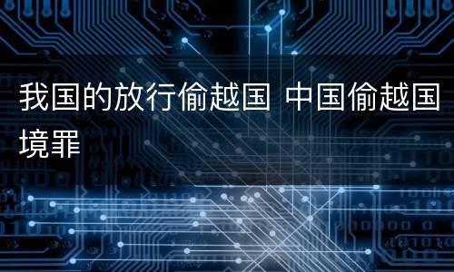 我国的放行偷越国 中国偷越国境罪