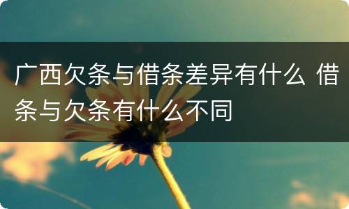 广西欠条与借条差异有什么 借条与欠条有什么不同