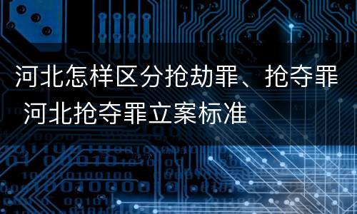 河北怎样区分抢劫罪、抢夺罪 河北抢夺罪立案标准
