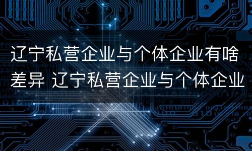 辽宁私营企业与个体企业有啥差异 辽宁私营企业与个体企业有啥差异吗