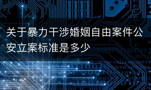 关于暴力干涉婚姻自由案件公安立案标准是多少