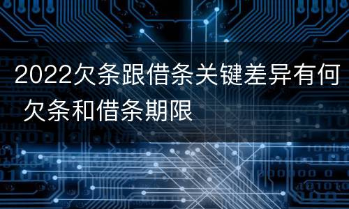 2022欠条跟借条关键差异有何 欠条和借条期限
