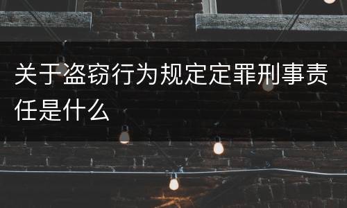 关于盗窃行为规定定罪刑事责任是什么
