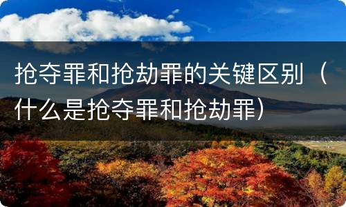 抢夺罪和抢劫罪的关键区别（什么是抢夺罪和抢劫罪）