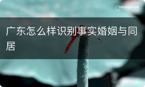 广东怎么样识别事实婚姻与同居