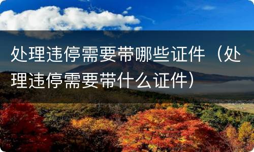 处理违停需要带哪些证件（处理违停需要带什么证件）