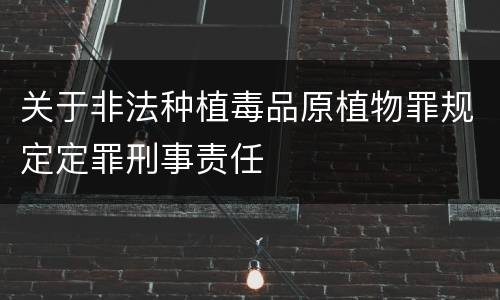 关于非法种植毒品原植物罪规定定罪刑事责任