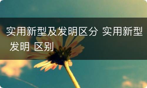 实用新型及发明区分 实用新型 发明 区别