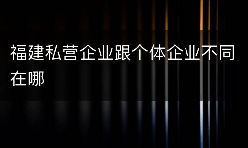福建私营企业跟个体企业不同在哪