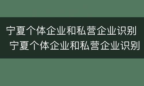 宁夏个体企业和私营企业识别 宁夏个体企业和私营企业识别区别
