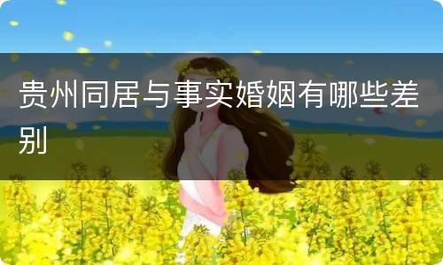 贵州同居与事实婚姻有哪些差别