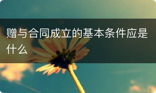 赠与合同成立的基本条件应是什么