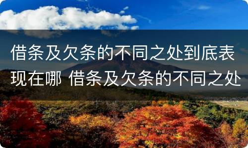 借条及欠条的不同之处到底表现在哪 借条及欠条的不同之处到底表现在哪些方面