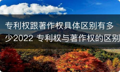 专利权跟著作权具体区别有多少2022 专利权与著作权的区别