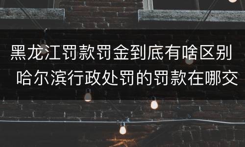 黑龙江罚款罚金到底有啥区别 哈尔滨行政处罚的罚款在哪交