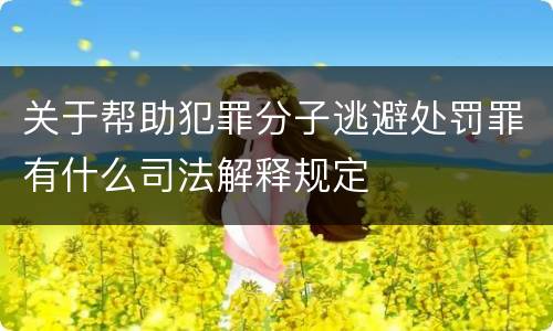 关于帮助犯罪分子逃避处罚罪有什么司法解释规定