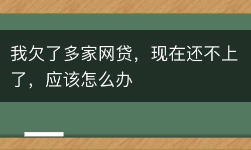 我欠了多家网贷，现在还不上了，应该怎么办