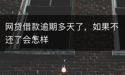 网贷借款逾期多天了，如果不还了会怎样