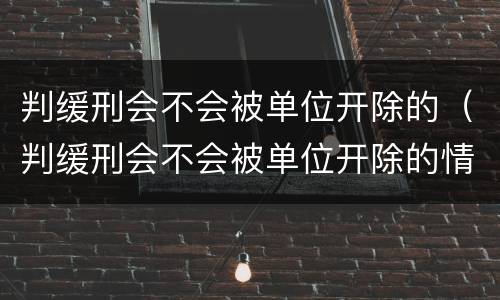 判缓刑会不会被单位开除的（判缓刑会不会被单位开除的情况）
